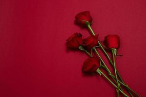 inviare fiori concetto online. consegna di fiori per San Valentino e la festa della mamma. bouquet di rose rosse isolato su sfondo rosso. disegno della cartolina con la bella natura rosa. vista dall'alto. copia spazio. foto