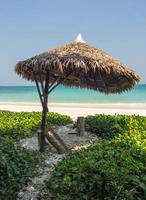 percorso verso la spiaggia idilliaca sull'isola di Havelock, Andaman e Nicobar in India foto