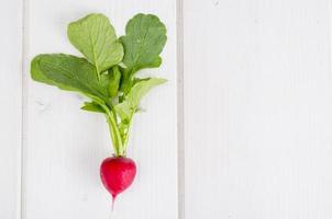 ravanello rosso sul piatto. concetto di cibo vegetariano, layout, menu. foto