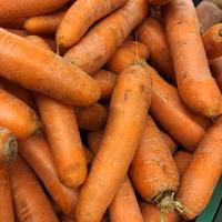 carota arancia fresca. stock photo sfondo di carote vegetali foto