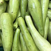 macro foto zucchine. stock photo verdure zucchine bianche