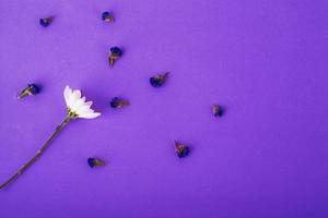 composizione di fiori. modello fatto un fiore bianco e fiori secchi tra su sfondo molto peri foto