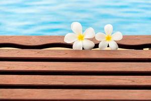 fiore di plumeria in piscina foto