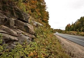 algonquin park muskoka ontario foto