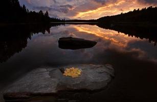 algonquin park muskoka ontario lago deserto foto