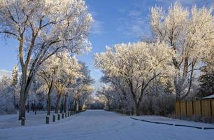 gelo invernale saskatchewan foto