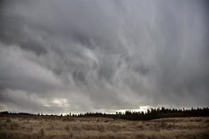 Cypress Hills Alberta Saskatchewan foto