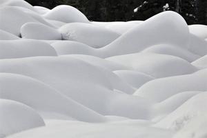 gobbe della neve di montagna foto