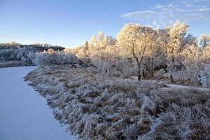 gelo invernale saskatchewan foto