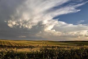 nuvole di tempesta saskatchewan foto