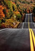 algonquin park muskoka ontario road foto