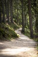 una strada tortuosa in una giornata nuvolosa che attraversa una foresta. foto