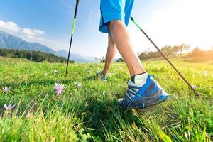 passeggiata nel prato foto