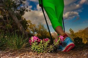 fiori primaverili in montagna su un sentiero escursionistico quando passa un trekker foto