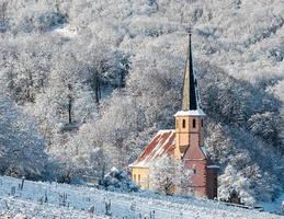 Racconto d'inverno. paesaggio pulito e innevato dell'Alsazia. foto