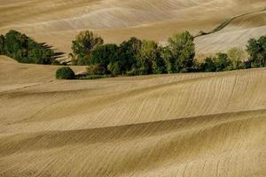 vista astratta delle colline gialle e marroni della toscana, autunno foto