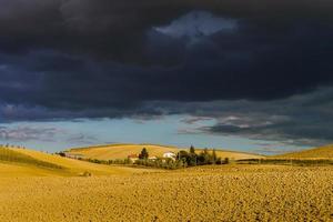 villa in italia, antico casale tra le onde dei campi e delle colline toscane foto