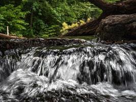 piccola ma veloce rapida con una cascata su un fiume di montagna, foresta, alsazia. foto