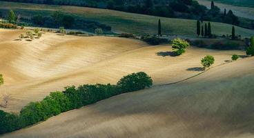 vista astratta delle colline gialle e marroni della toscana, autunno foto