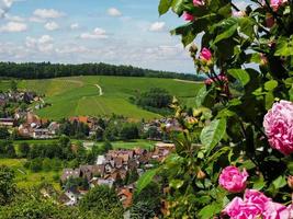 verdi colline della regione della foresta nera vista attraverso le rose fresche, germania foto