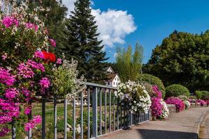 villaggio fiorito in alsazia. strade assolate piene di fiori. foto