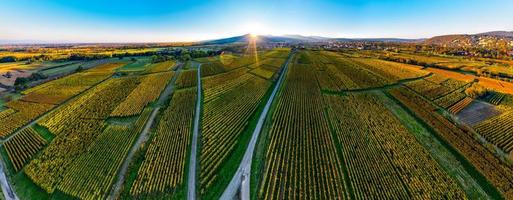 un drone si erge sopra una valle multicolore nei Vosgi. tramonto. foto