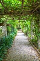 giardino con struttura a pergola durante la stagione estiva. architettura e design ispirati alla natura. foto