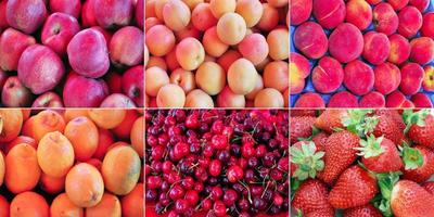 sfondo di collage di frutta foto