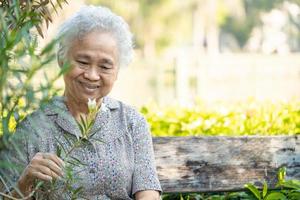 donna anziana asiatica o anziana che tiene fiore di rosa rossa, sorriso e felice nel giardino soleggiato. foto