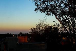 vista del tramonto o dell'alba dietro la foglia verde foto