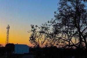 vista del tramonto o dell'alba dietro la foglia verde foto