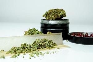 primo piano di germogli di marijuana medica su sfondo bianco foto