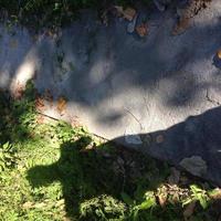 selfie dell'ombra di uno scalatore foto