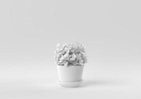 vaso per albero bianco su sfondo bianco. idea di concetto minimale creativa. monocromo. rendering 3d. foto