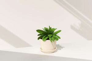 vaso d'albero su sfondo bianco. idea di concetto minimale creativa. rendering 3d. foto