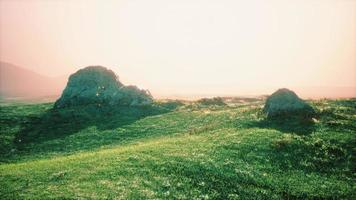 prato alpino con rocce ed erba verde foto