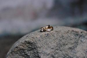 un paio di fedi nuziali su una roccia. fedi nuziali simbolo amore famiglia. foto