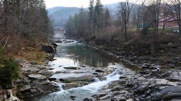 paesaggio di un fiume di montagna nella foresta all'inizio dell'autunno e alla fine dell'estate. acqua in un corso d'acqua naturale. bella e rilassante foresta con un fiume. fiume nel profondo della foresta di montagna. composizione della natura. foto