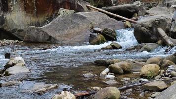 paesaggio di un fiume di montagna nella foresta all'inizio dell'autunno e alla fine dell'estate. acqua in un corso d'acqua naturale. bella e rilassante foresta con un fiume. fiume nel profondo della foresta di montagna. composizione della natura. foto