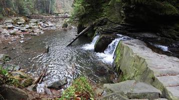 paesaggio di un fiume di montagna nella foresta all'inizio dell'autunno e alla fine dell'estate. acqua in un corso d'acqua naturale. bella e rilassante foresta con un fiume. fiume nel profondo della foresta di montagna. composizione della natura. foto