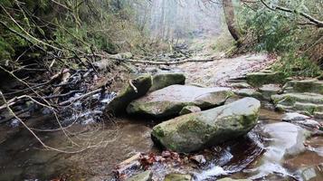 paesaggio di un fiume di montagna nella foresta all'inizio dell'autunno e alla fine dell'estate. acqua in un corso d'acqua naturale. bella e rilassante foresta con un fiume. fiume nel profondo della foresta di montagna. composizione della natura. foto