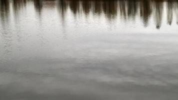 l'acqua nello stagno viene lentamente ricoperta di ghiaccio a causa delle basse temperature. l'arrivo dell'inverno. avvicinamento. riflesso di alberi senza foglie in acqua fredda. foto