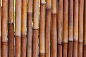 recinzione di bambù naturale foto