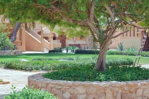 tipico cortile storico orientale con architettura araba e palme foto