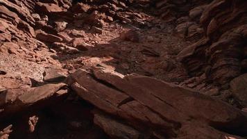 rocce rosse del parco nazionale del Grand Canyon foto