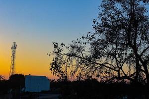 vista del tramonto o dell'alba dietro la foglia verde foto