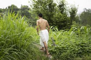 giovane ragazzo indiano in forma, camminando su un sentiero accanto ai raccolti nel campo. un sacerdote indiano che cammina indossando dhoti bianchi. uomo religioso indiano. foto