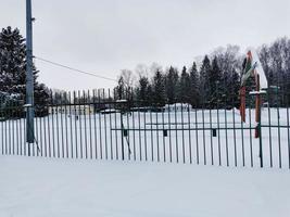 inverno nel parco pavlovsky neve bianca e alberi freddi foto