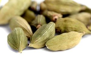 baccelli di cardamomo su sfondo bianco foto