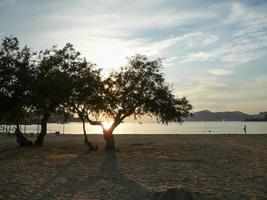 vista della spiaggia di santa ponca foto